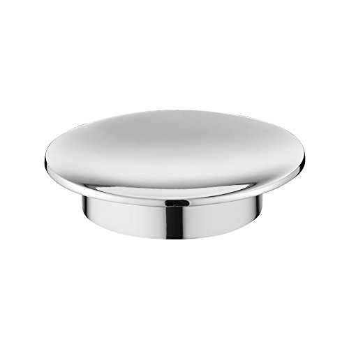 Soap Dish 1