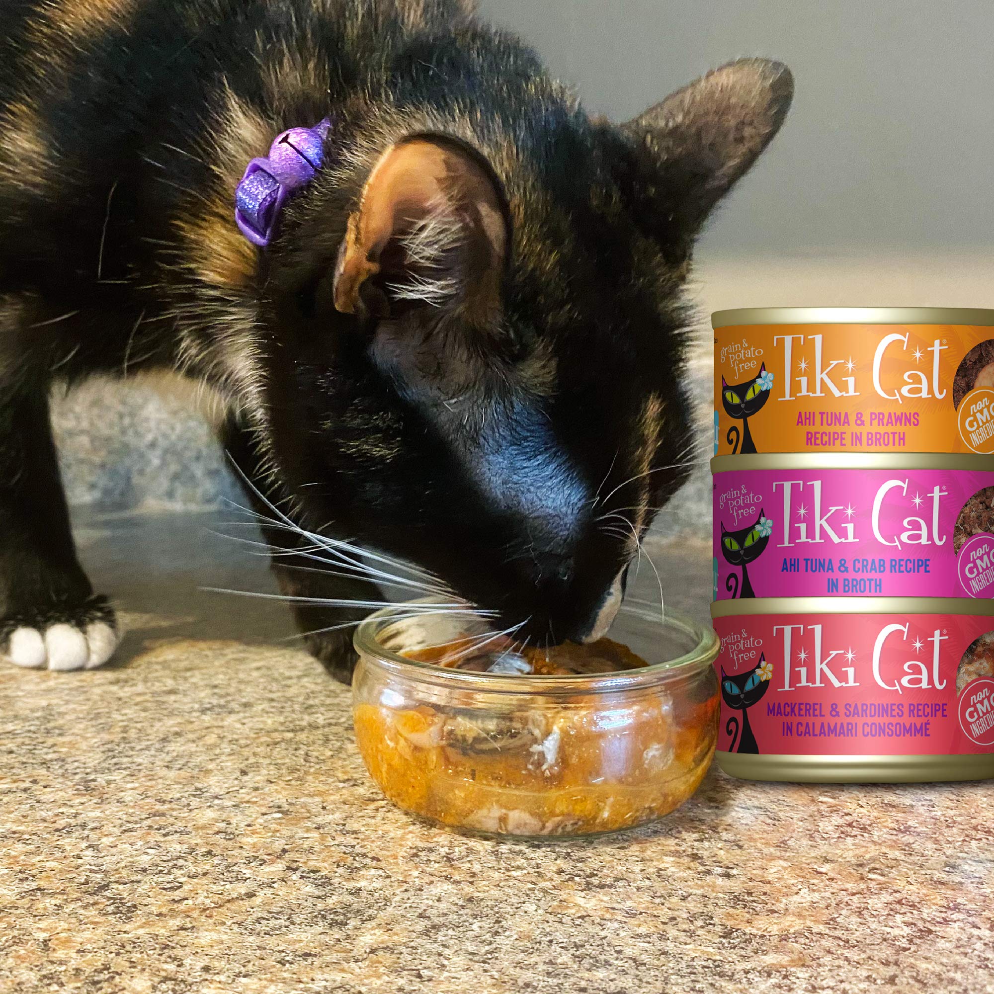 Tiki Cat Seafood Selects Wet Cat Food - Ultimate Variety Pack with Real Flaked Fish, High Protein (36 Servings, 2.8oz & 3oz Cans) - Perfect for Indoor Cats, Picky Eaters & Healthy Diet