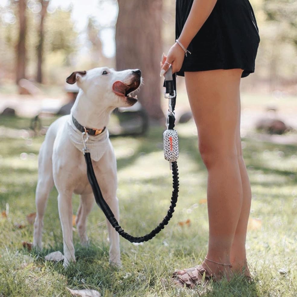 Durable Waterproof Dog Waste Bag Holder with Carabiner Clip & Leash Strap - Dalmatian Print Poop Bag Dispenser Includes 12 Bags - Perfect for Walking, Hiking, and Outdoor Pet Cleanup