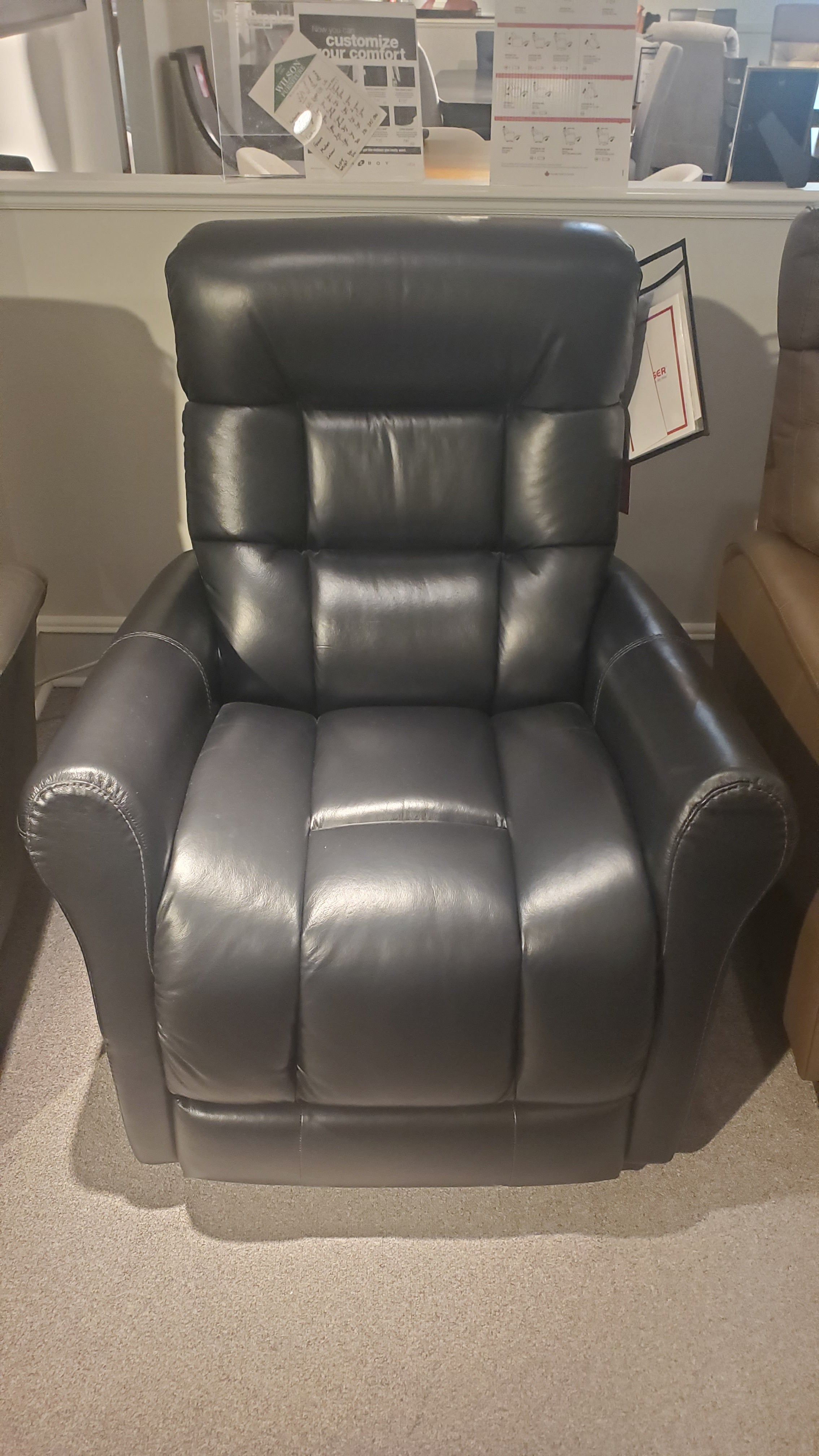 Palliser Power Lift Recliner Chair - Electric Reclining Sofa with Remote Control for Elderly & Mobility Assistance - Perfect for Living Room, Home Theater & Recovery Use