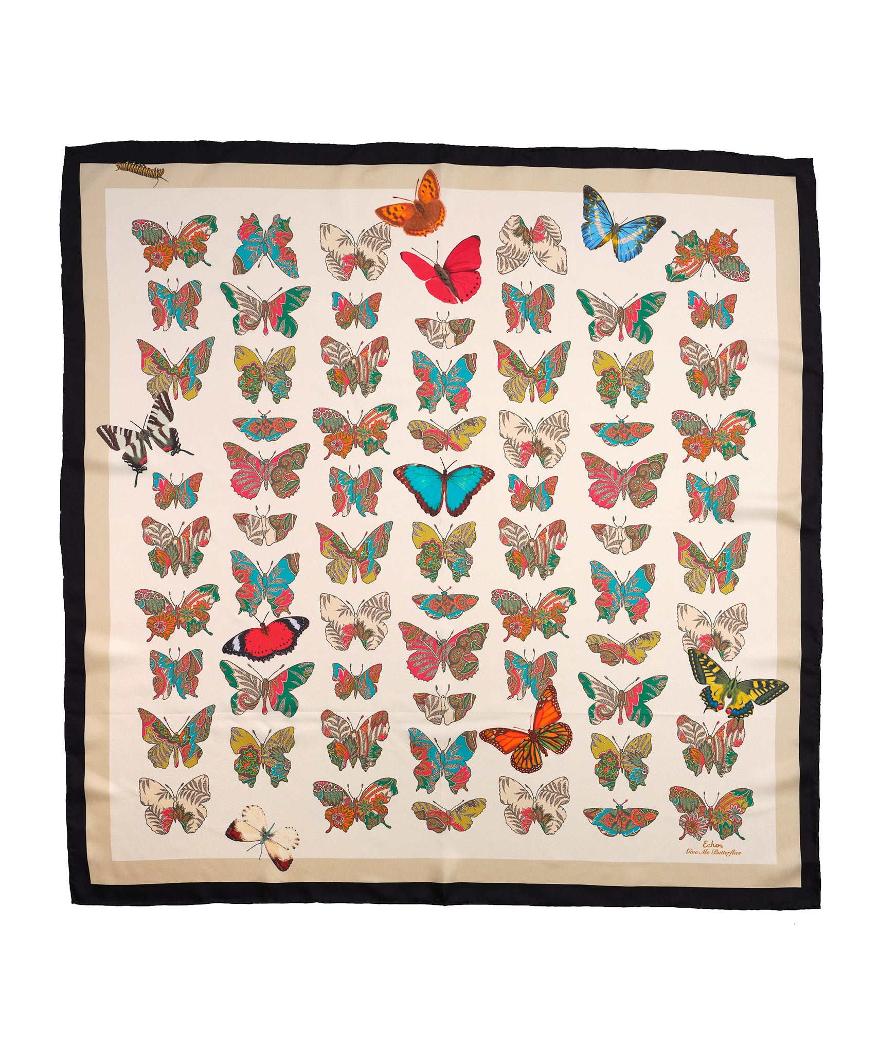 Give Me Butterflies 35
