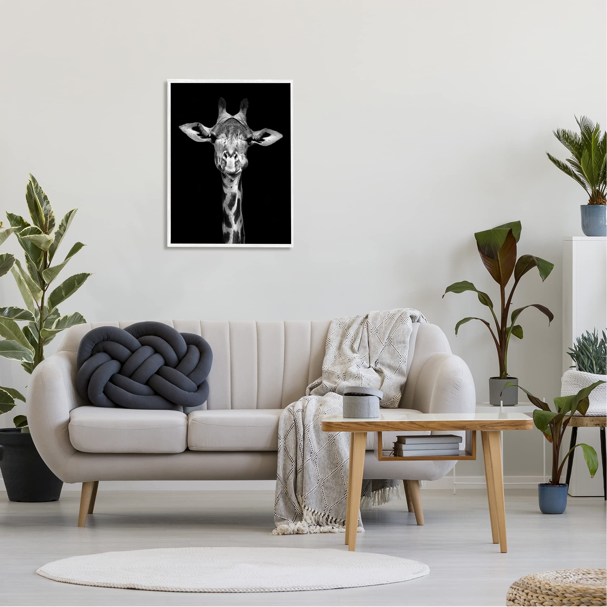 Stupell Industries Black and White Zebra Stripes Detailed Photography Portrait Wall Art - Modern Home Decor for Living Room, Bedroom, or Office