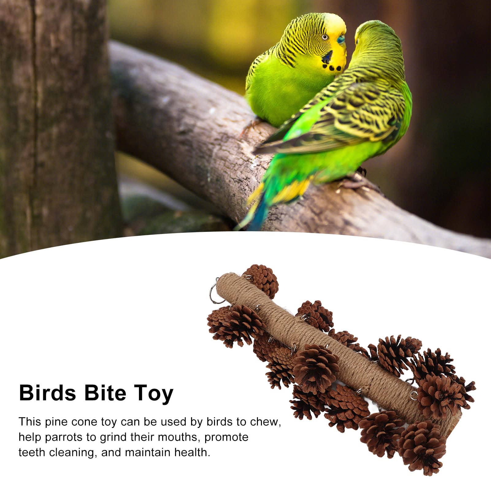 Tnfeeon Natural Wooden Pine Cone Chewing Toy for Parrots - Hanging Bird Cage Beak Grinding & Molar Toy - Perfect for Parrot Enrichment and Beak Maintenance