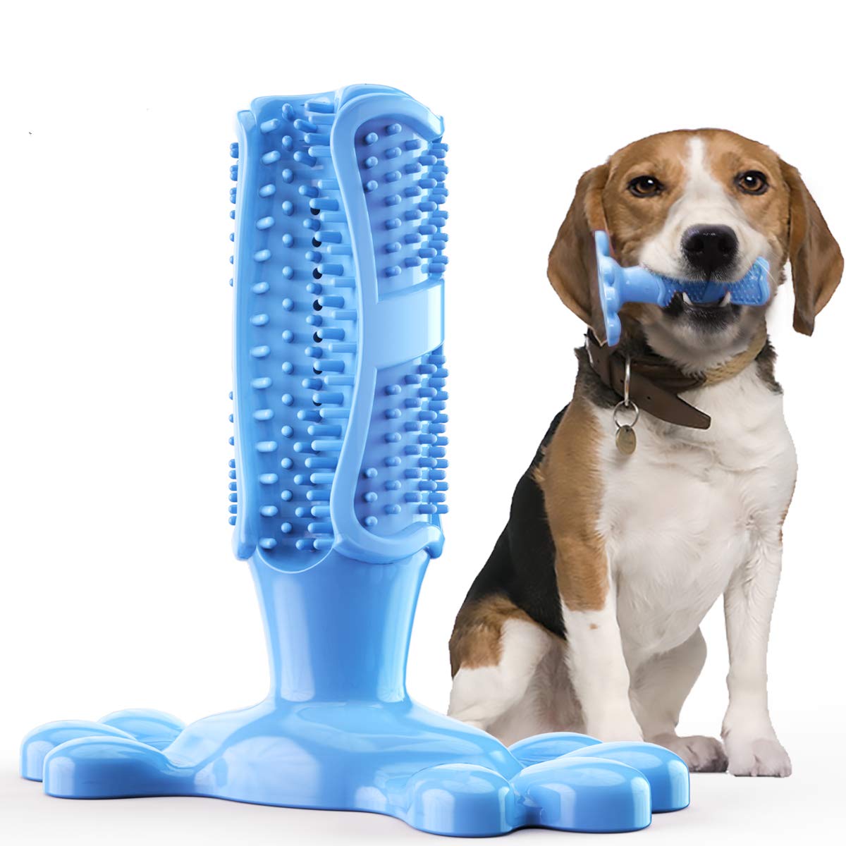 Natural Rubber Dog Toothbrush Stick - Puppy Teeth Cleaning Chew Toy for Medium Dogs, Blue (L) - Promotes Dental Health & Play
