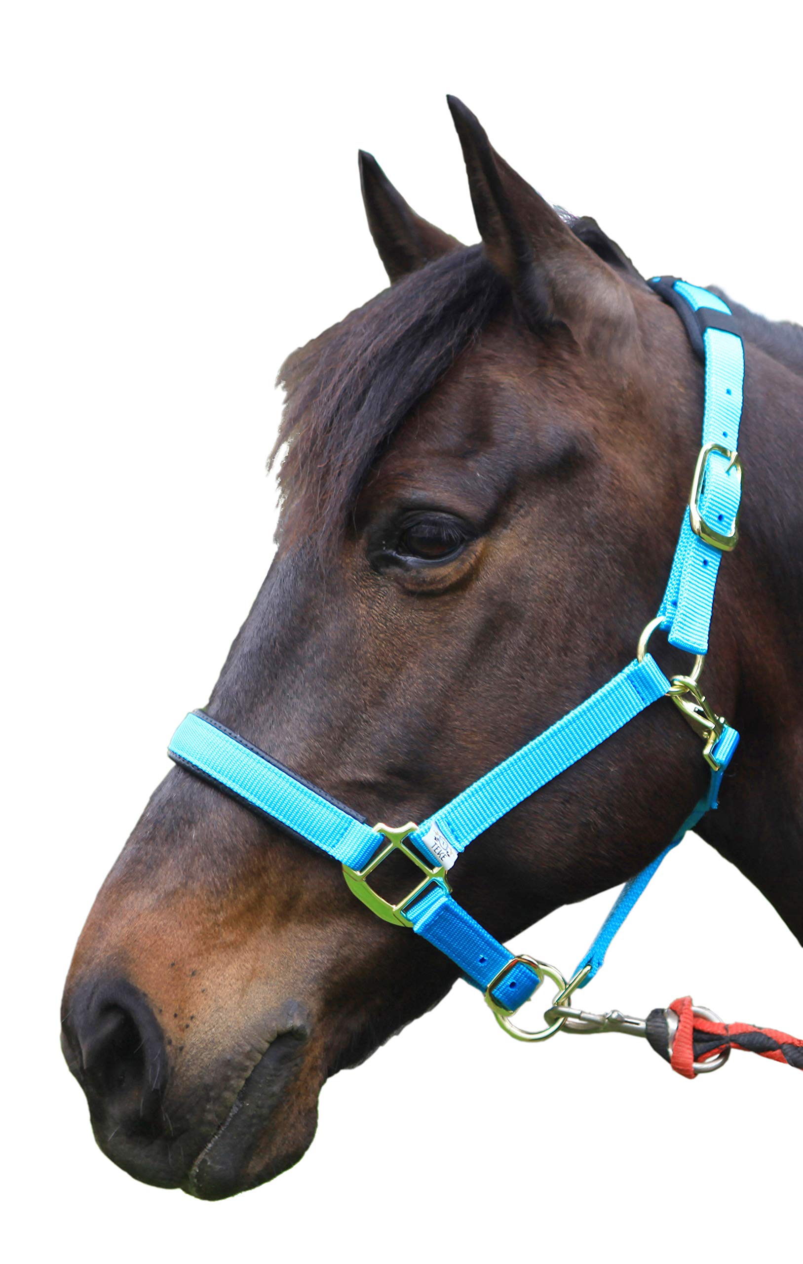Durable Adjustable Horse Halter - Heavy Duty Soft Nylon with Padded Anti-Rubbing Waffle Neoprene on Crown & Nose - Perfect for Training, Grooming & Daily Horse Care