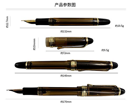 Lanxivi Yongsheng 699 Vacuum Filling Fountain Pen with 14K Gold Fine Nib - Brown Translucent Acrylic Body for Writing, Calligraphy & Gift Giving
