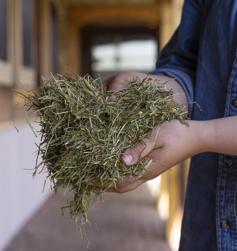 Triple Crown Low Starch Horse Feed - Grain Free, Fortified Forage with Orchard & Timothy Hay (40lbs) for Performance & Recovery