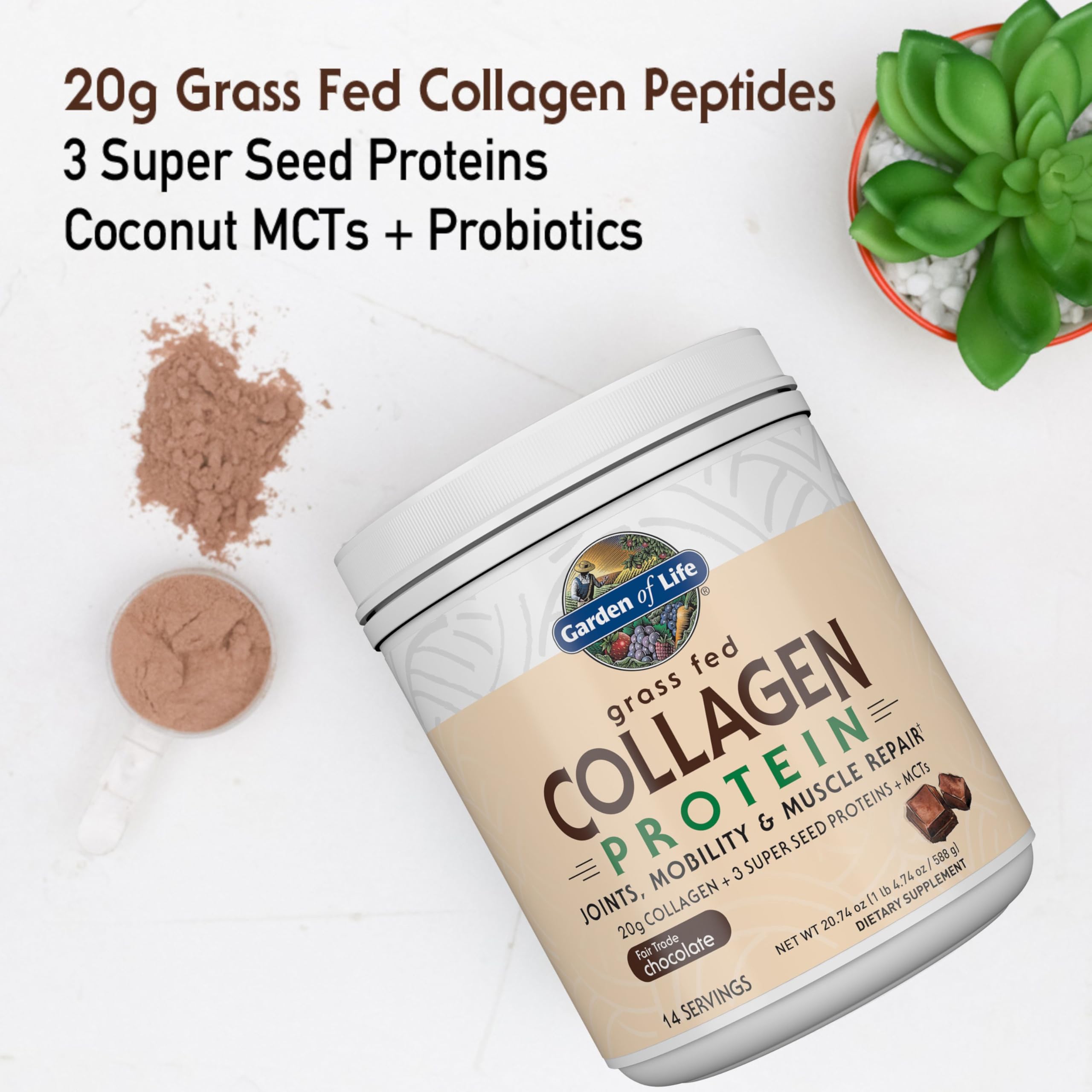Garden of Life Grass Fed Collagen Protein Powder - Chocolate Flavor, 14 Servings | Hydrolyzed Collagen Peptides for Joint Support, Muscle Recovery & Skin Health | With Super Seeds & Coconut MCTs | Keto, Paleo & Gluten Free Supplement | Perfect for Smoothies, Coffee & Baking