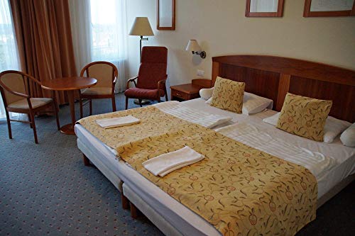 20x30 Inch Laminated Hotel Sleep Double Bed Room Poster - Vibrant Colors & HD Imagery - Fits Standard Frames - Perfect for Bedroom Wall Decor, Dorm Room, or Office Art