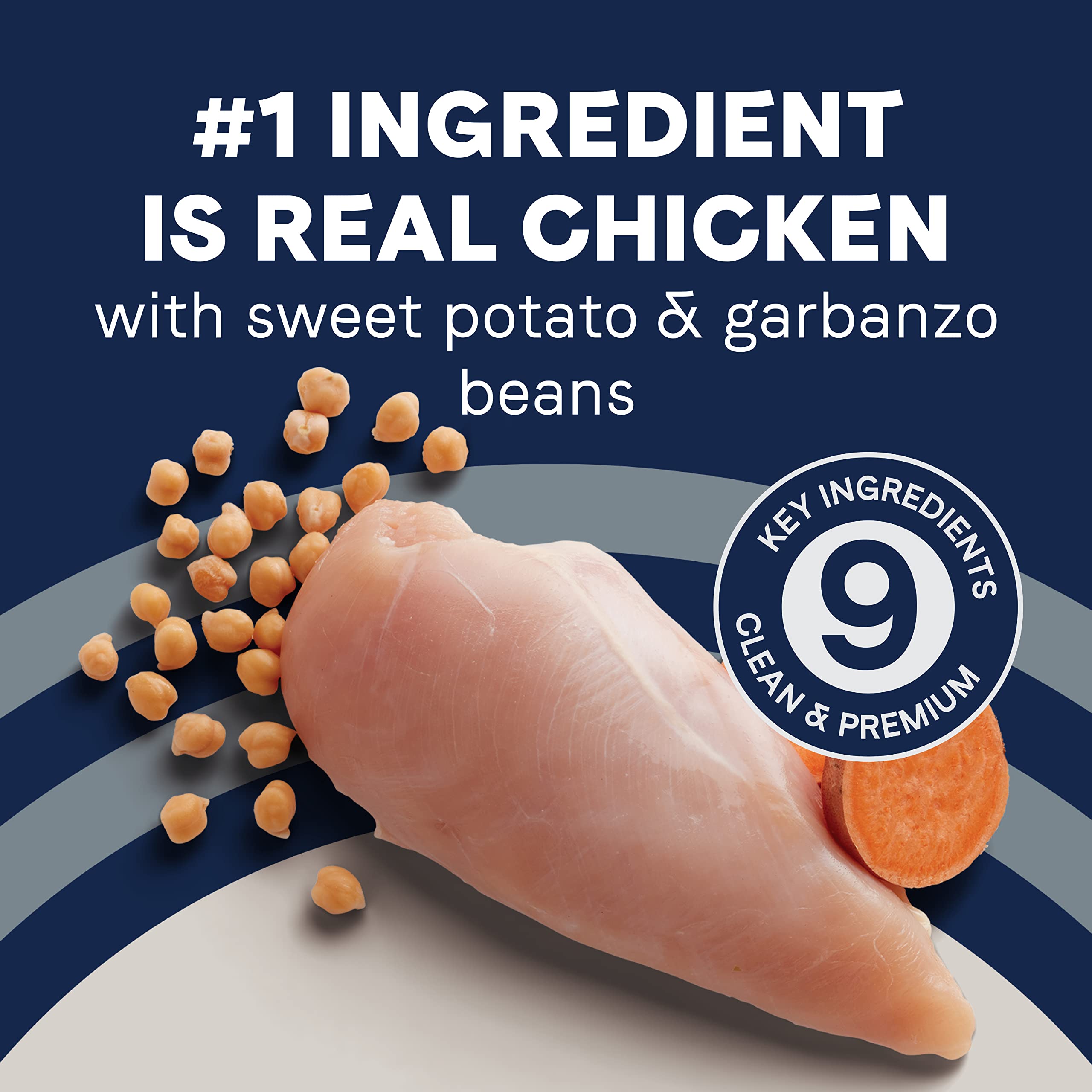 Canidae Pure SENIOR Dry Dog Food - Real Chicken, Sweet Potato & Garbanzo Bean Recipe, 22 lb Bag - High Protein Senior Dog Food for Joint Health & Digestion - Perfect for Aging Dogs with Sensitive Stomachs