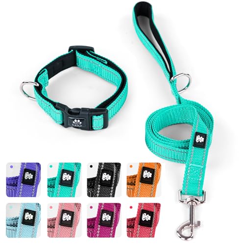 Teal Collar+Leash