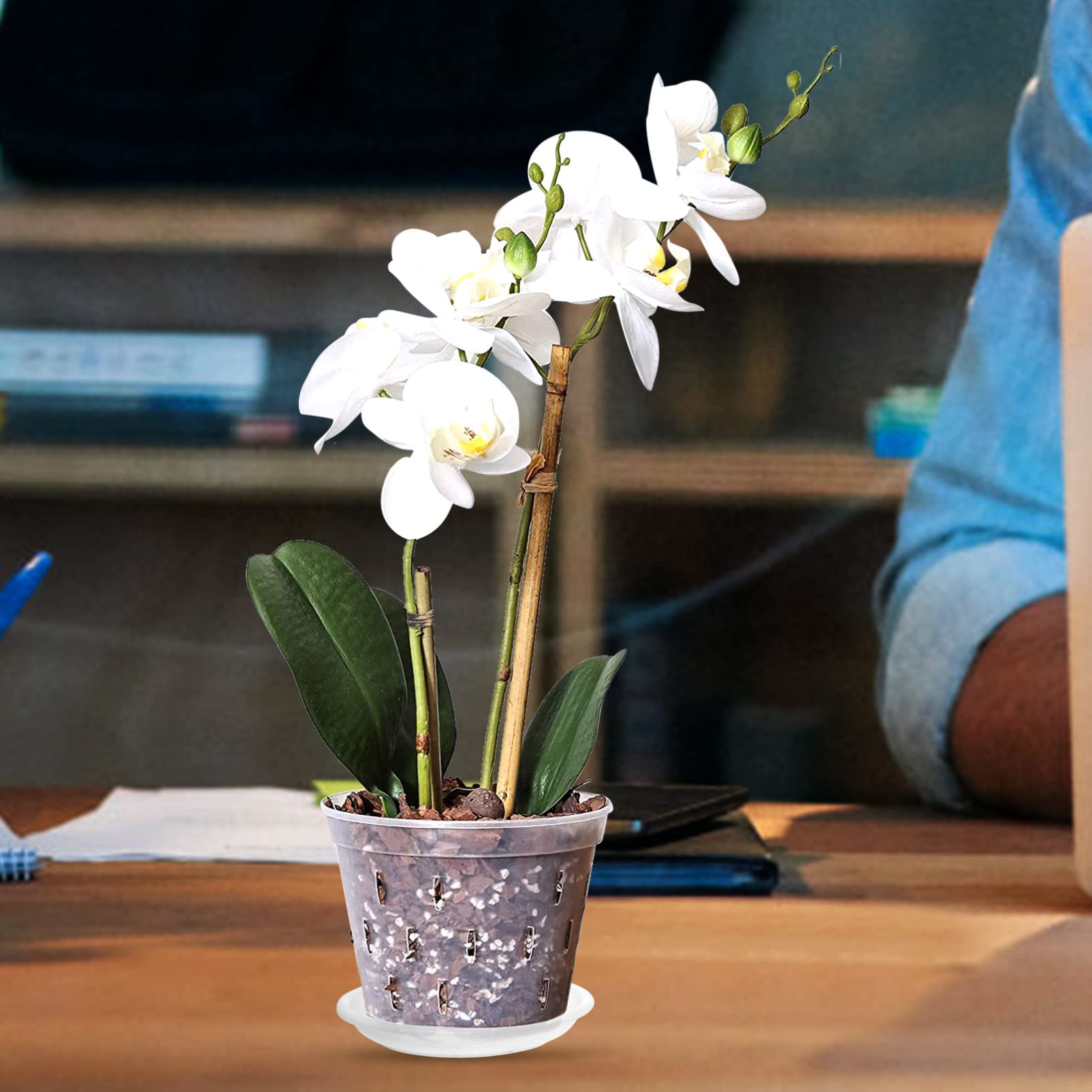 **Clear Slotted Orchid Pots with Saucers - Breathable Plastic Planters with Drainage Holes for Orchids, Succulents & Indoor Plants - Perfect for Home Gardening, Nursery & Decorative Plant Displays**