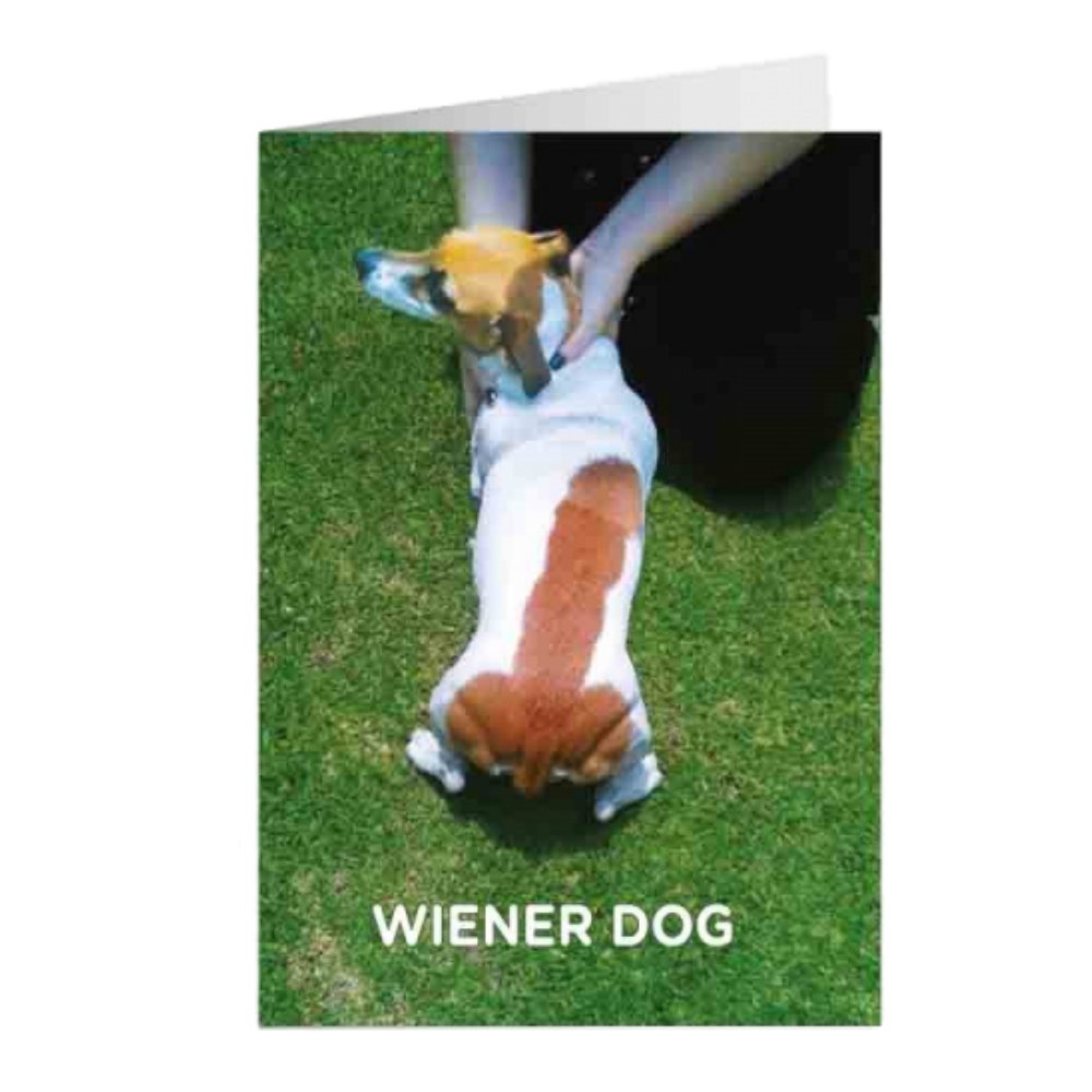 Funny Wiener Dog Greeting Card - Birthday Card for Dog Lovers, Dachshund Humor - Perfect for Birthdays, Anniversaries & Special Occasions