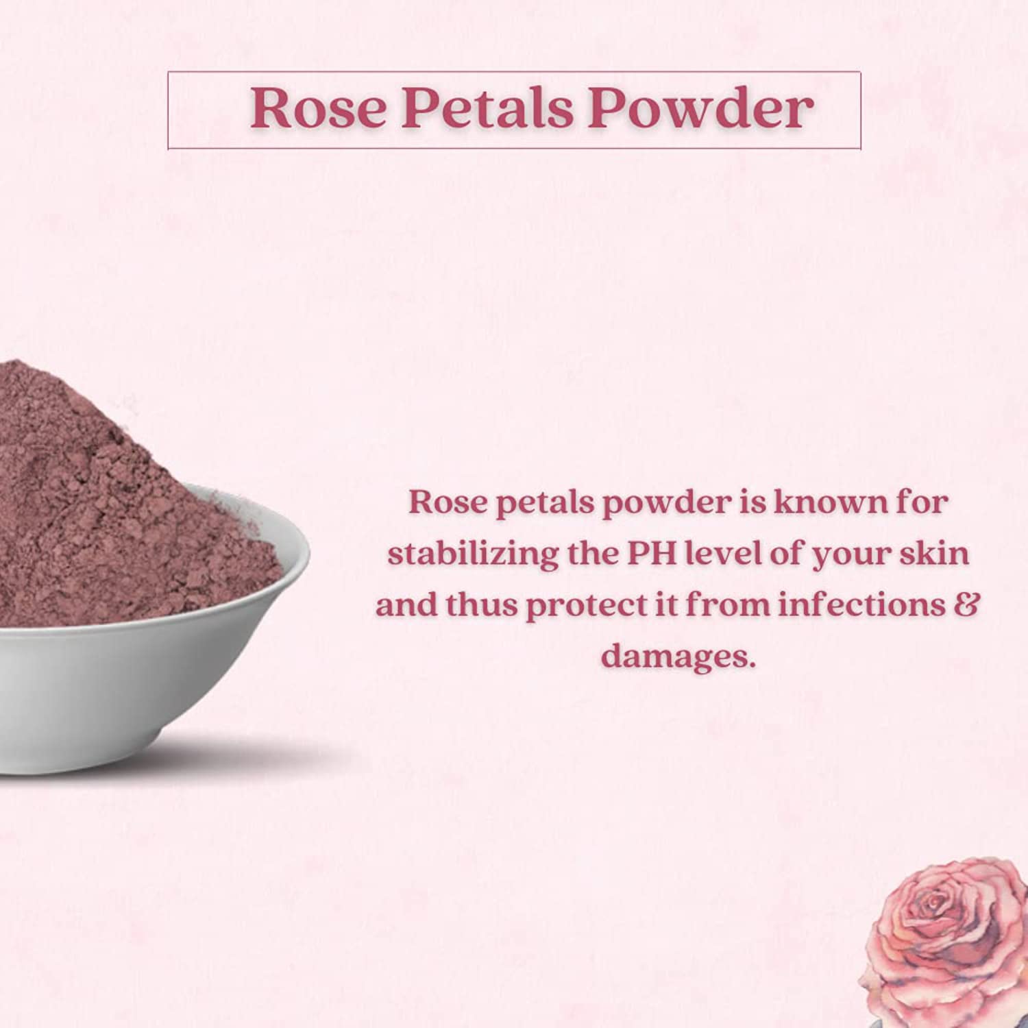 Oilanic 100% Pure Natural Rose Petal Powder for Skin & Hair Care - 2 Jars (200g) | DIY Face Masks, Hair Treatments & Aromatherapy