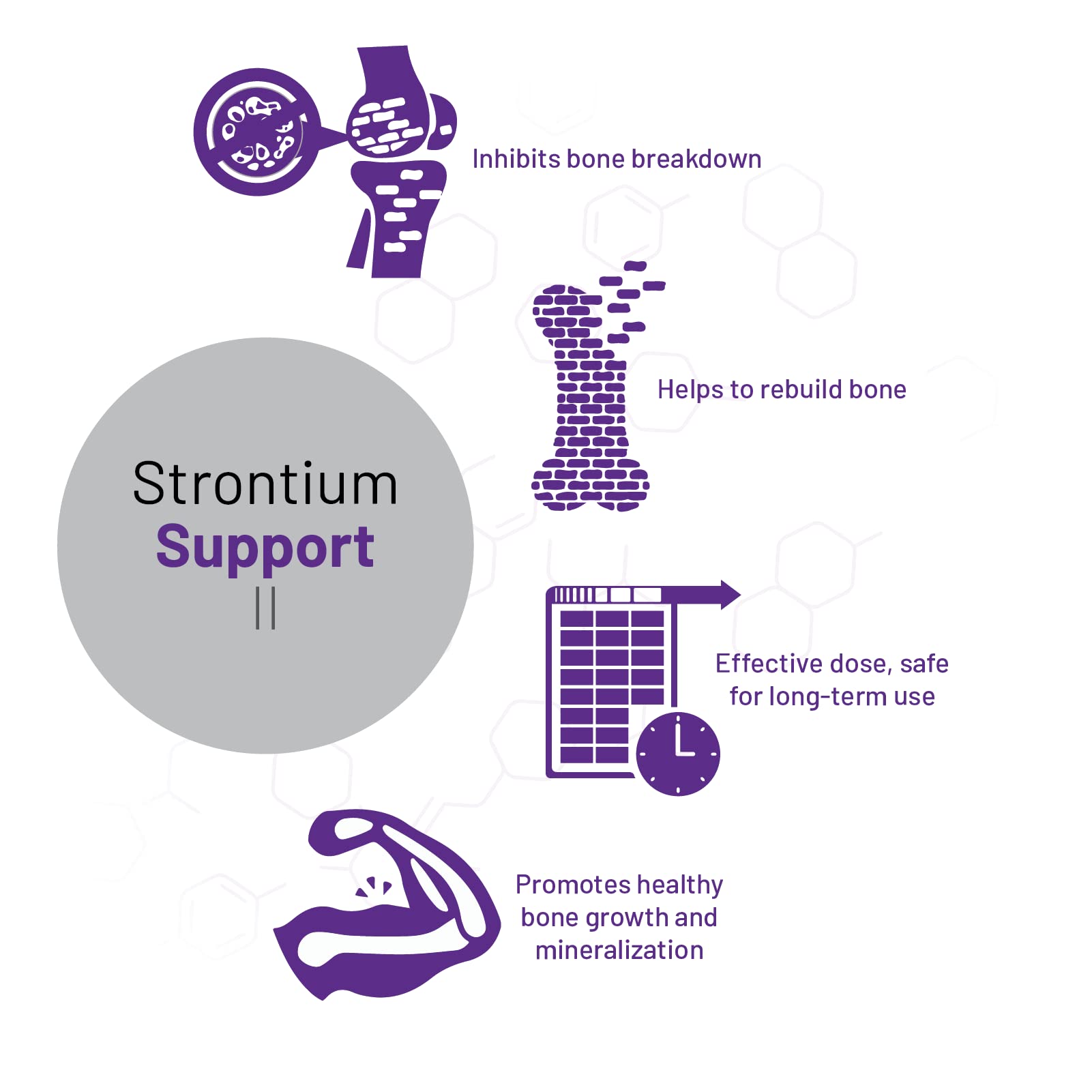 Strontium Support II - Vegan & Non-GMO Bone Health Supplement with AOR, 60 Capsules - Supports Strong Bones for Active Lifestyles & Aging Adults