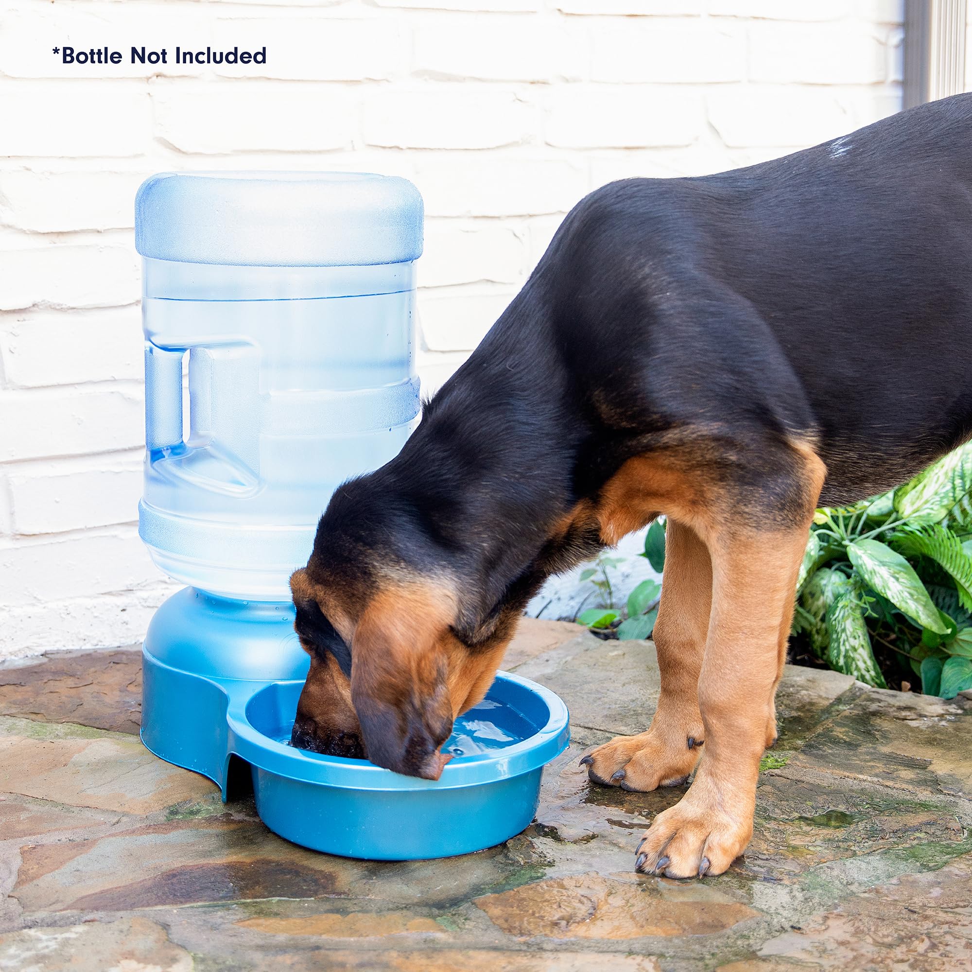 Petmate Big Blue 5-Gallon Outdoor Water Bowl for Dogs & Cats – Durable, Made in USA – Ideal for Backyards, Farms, and Outdoor Adventures