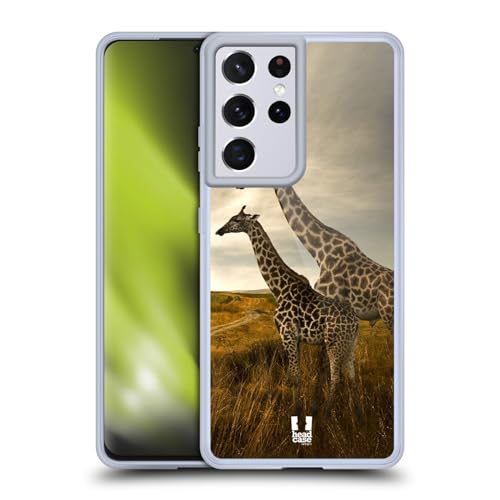 Giraffe Couple And Landscape