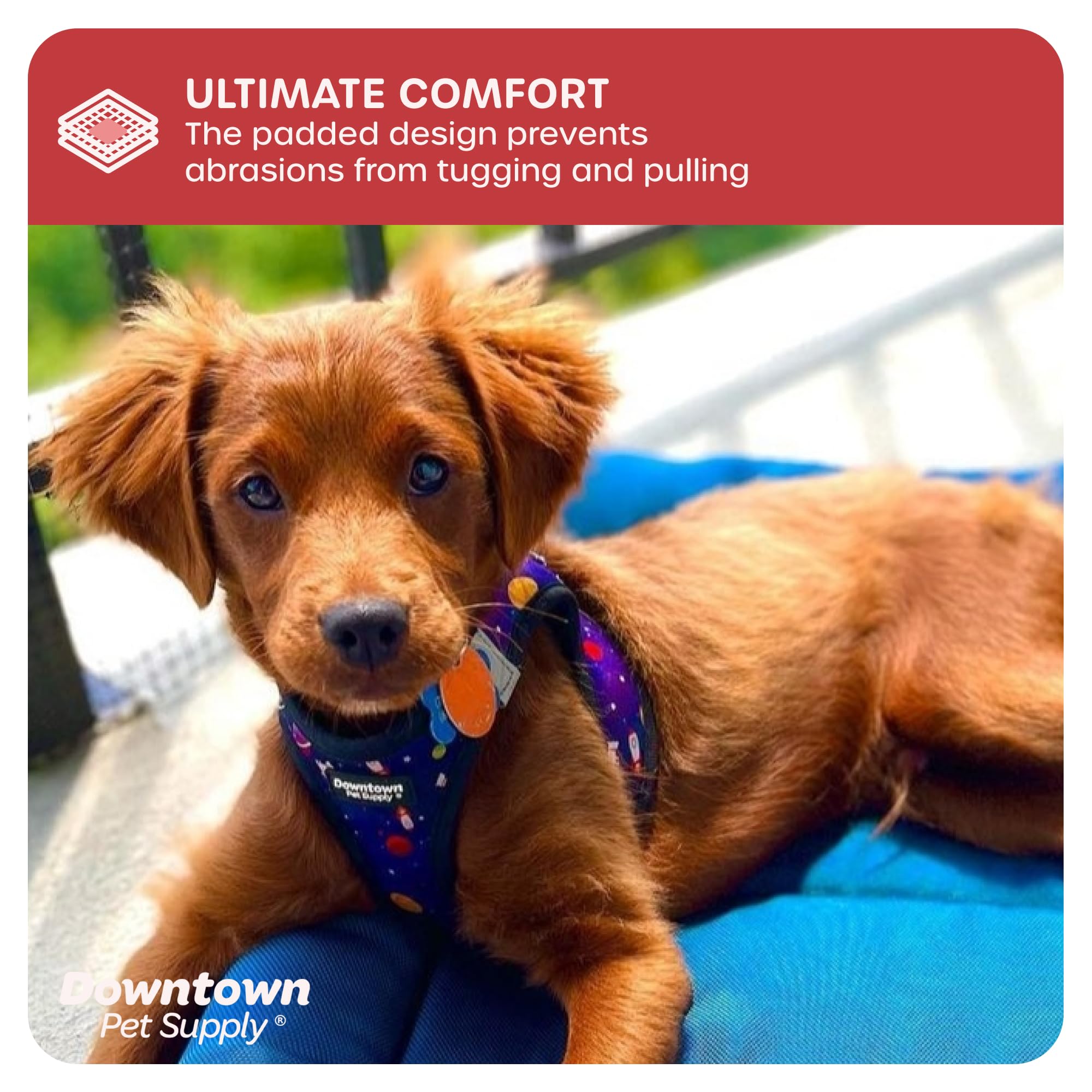 **No-Pull Step-in Dog Harness for Small Dogs | Adjustable Padded Mesh with Reflective Trim | Comfortable & Secure Buckle Strap | Perfect for Walking, Training & Outdoor Adventures**