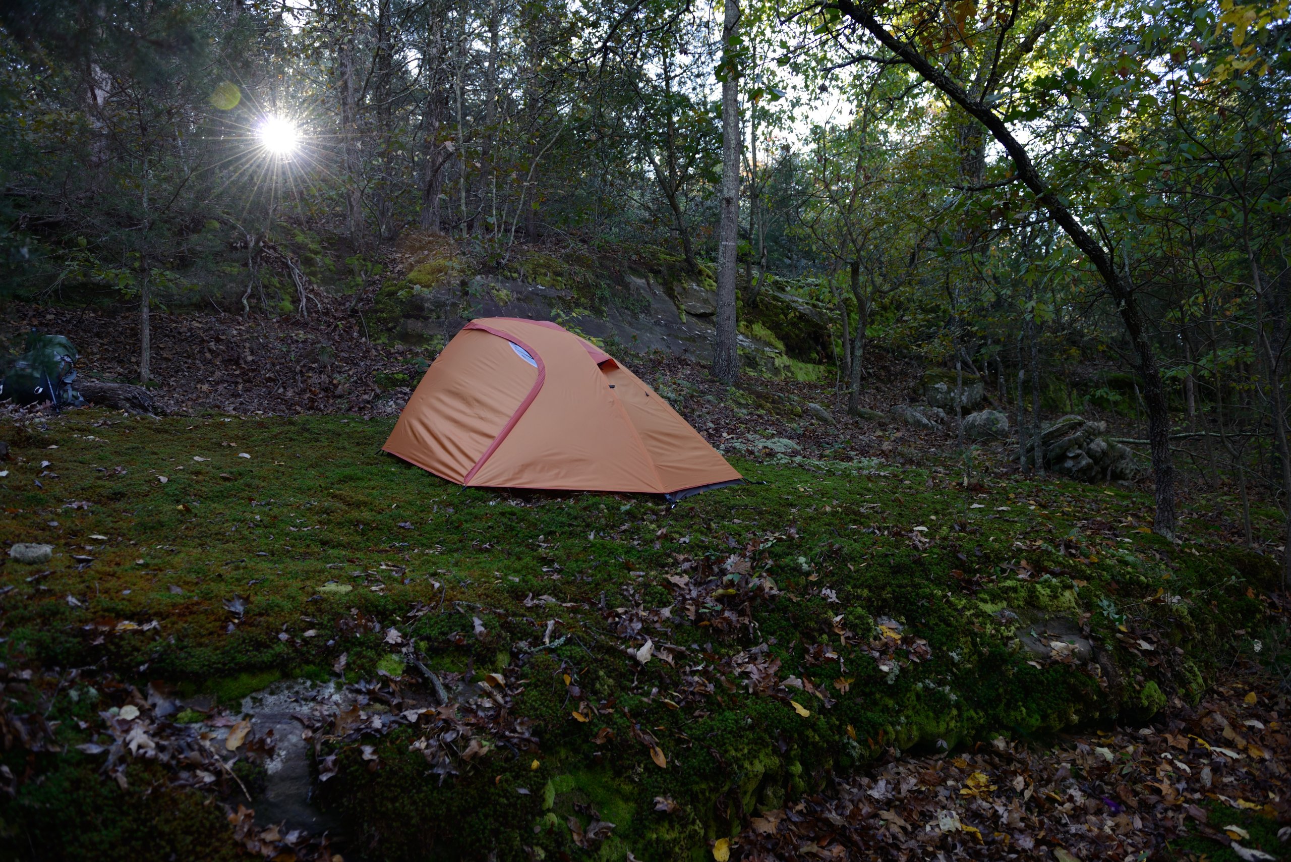 ALPS Mountaineering Zephyr 2-Person Lightweight Backpacking Tent - 3 Season Waterproof Hiking & Camping Shelter for Outdoor Adventures