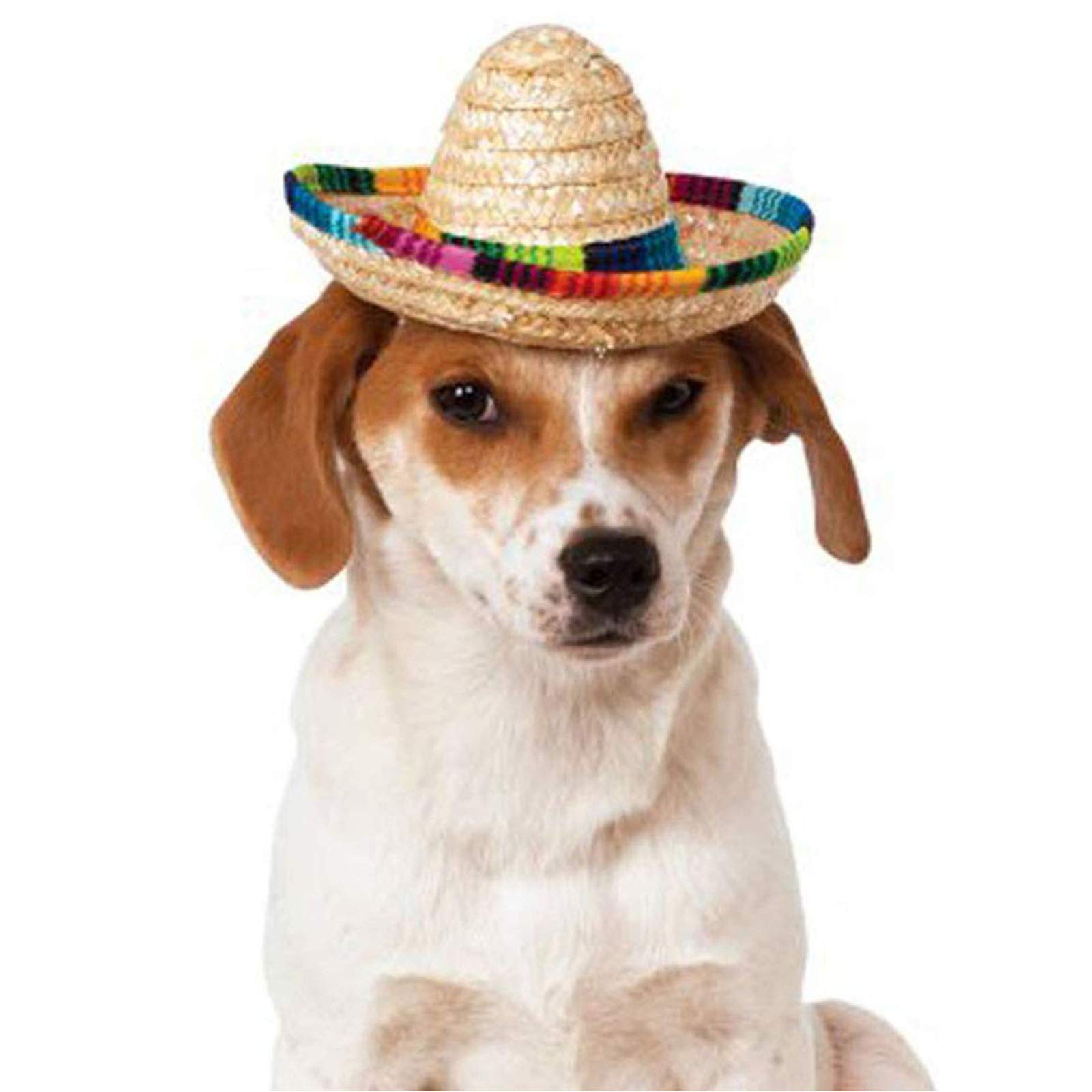 Mini Straw Sombrero Hat for Dogs & Cats - Mexican Party Hat for Small Pets & Puppies - Perfect for Cinco de Mayo, Halloween & Costume Parties