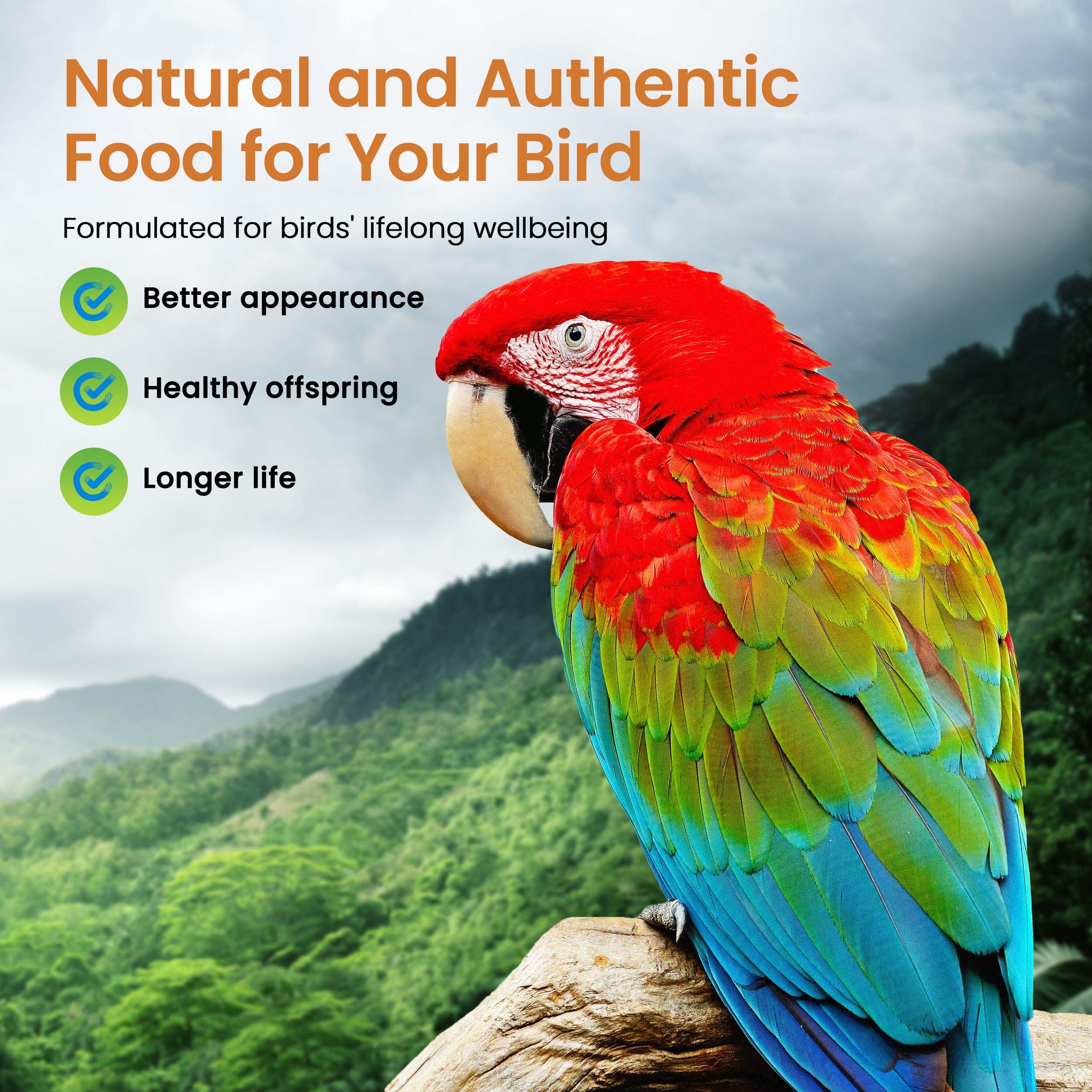 Harrison's High Potency Coarse Organic Non-GMO Bird Food - 25lb Bag | Premium Nutrition for Parrots, Macaws & Cockatoos | Perfect for Daily Feeding & Avian Health Maintenance