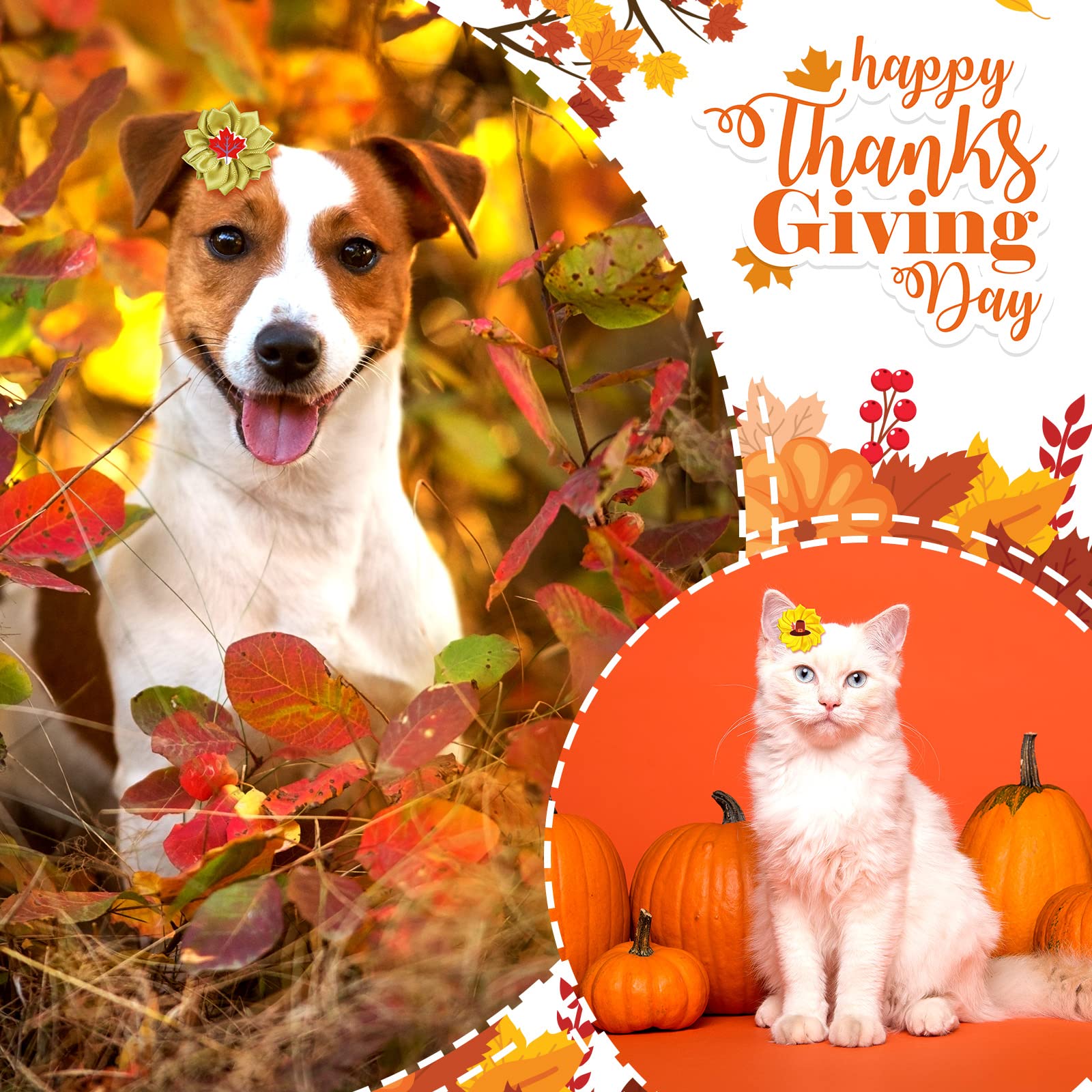60 Pack Fall Dog Hair Bows with Rubber Bands - Thanksgiving Flower Bows for Small to Large Dogs & Cats - Pet Grooming Accessories for Puppies & Pets - Perfect for Autumn Photos & Holiday Celebrations