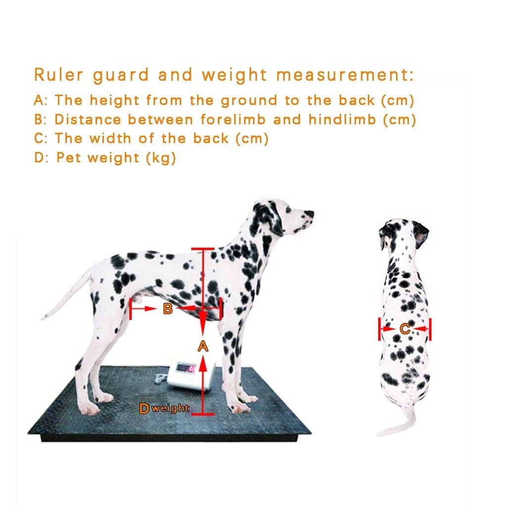4-Wheel Dog Wheelchair for Medium & Small Dogs - Full Support Pet Mobility Aid with Back Brace for Handicapped Back Legs (Model 32) | Ideal for Disabled Pets, Post-Surgery Recovery & Daily Walking Assistance
