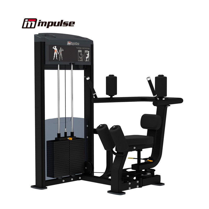 IF9318 Abdominal Torso Rotation Trainer for Core Strength & Fitness - Perfect for Home Gym & Physical Therapy Workouts