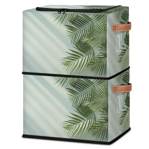 Sunshine Palm Leaves