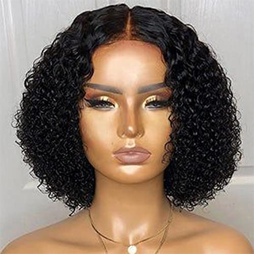 13x6 HD Transparent Lace Front Wigs Human Hair - Brazilian Curly 130 Density 10 Inch Glueless Pre-Plucked Wig for Women | Perfect for Daily Wear, Parties & Special Occasions