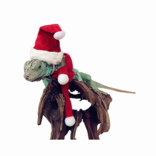 2 Christmas Set (Hat+scarf)