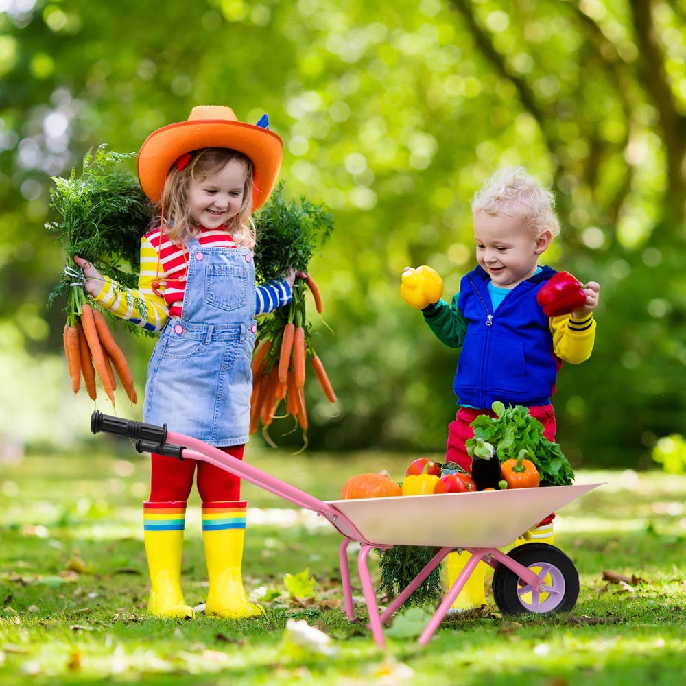 **Pink Metal Kids Wheelbarrow Set - Easy to Assemble Gardening Tools Kit with Small Wheelbarrow, Outdoor & Indoor Garden Toys for Girls - Perfect for Gardening, Playtime & Gift Giving**