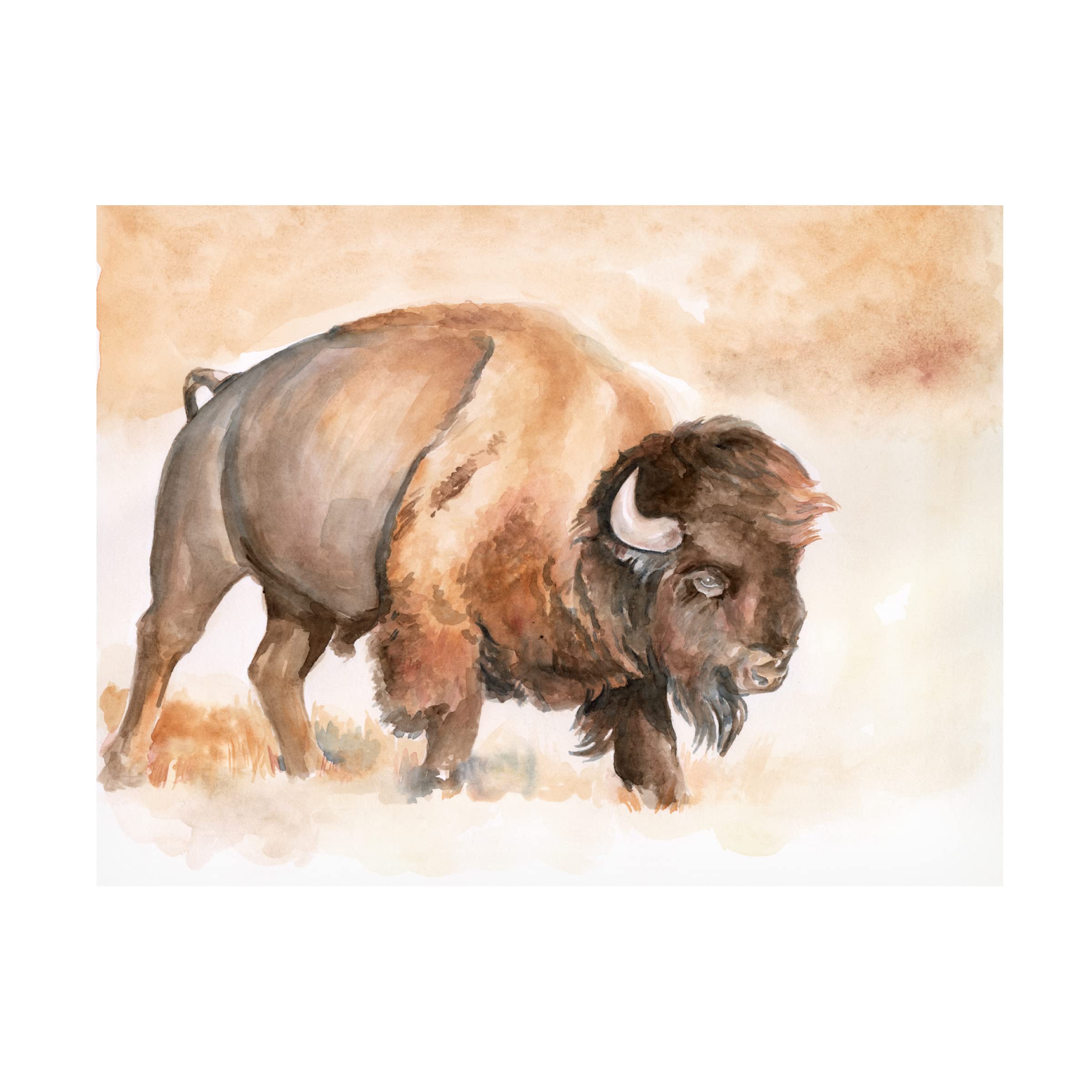 Buffalo Roam II Canvas Art Print by Jennifer Paxton Parker - Western Wildlife Wall Decor for Living Room, Office & Cabin - Premium Trademark Fine Art Collection