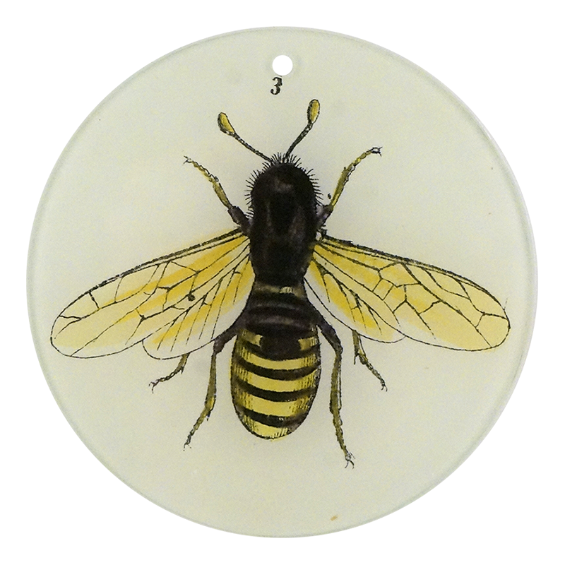 4or Bee 3 PNG - High-Quality Bee Vector Graphics for Digital Design & Print Projects - Perfect for Logos, Invitations, and Nature-Themed Decorations