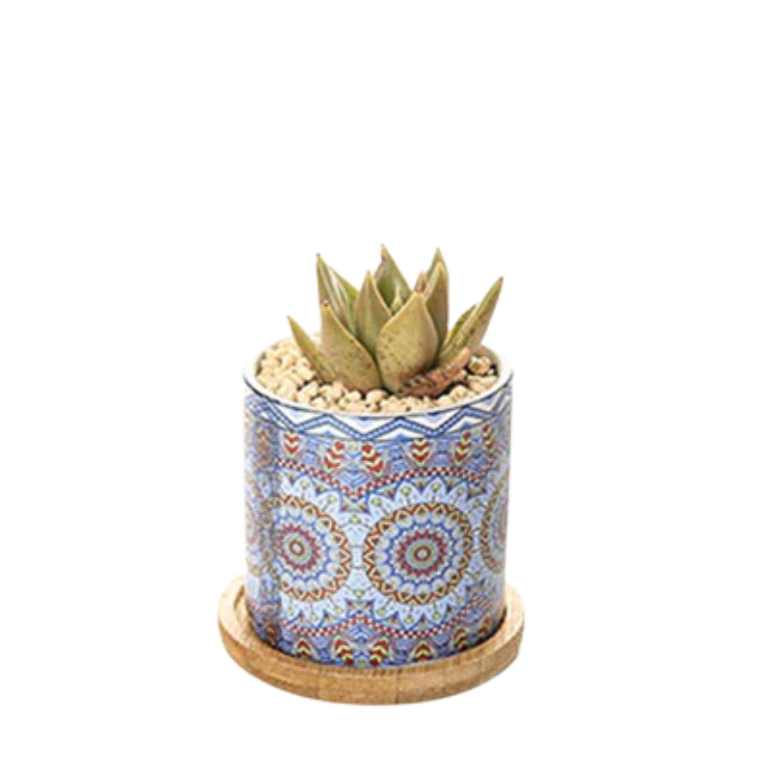 Colorful Ceramic Flower Pots for Plants - Small Bonsai & Succulent Planters, Decorative Garden & Balcony Tabletop Flowerpots - Perfect for Indoor Herb Gardens, Office Desk Decor, and Home Balcony Greenery