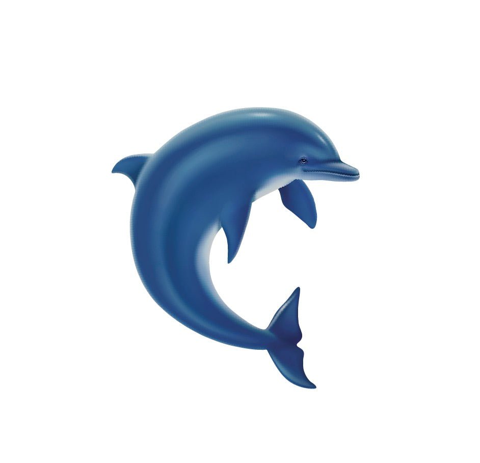 Dolphin Themed Home Decor & Gifts - Ocean Inspired Wall Art, Figurines & Accessories for Beach House, Kids Room & Marine Lovers