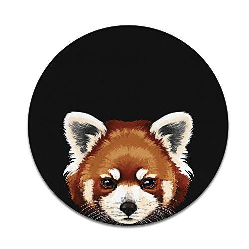 Red Panda