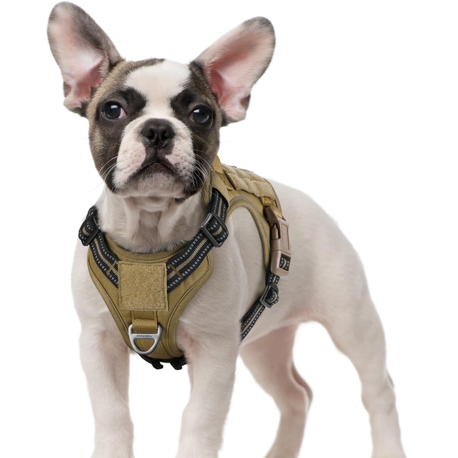 Rabbitgoo No-Pull Tactical Dog Harness for Small Dogs - Military Service Vest with Handle & MOLLE System | Adjustable Reflective Straps for Training & Walking | Comfortable Control (Brown, Size S) | Perfect for Outdoor Adventures, Hiking & Daily Walks