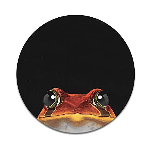 Red Tomato Frog