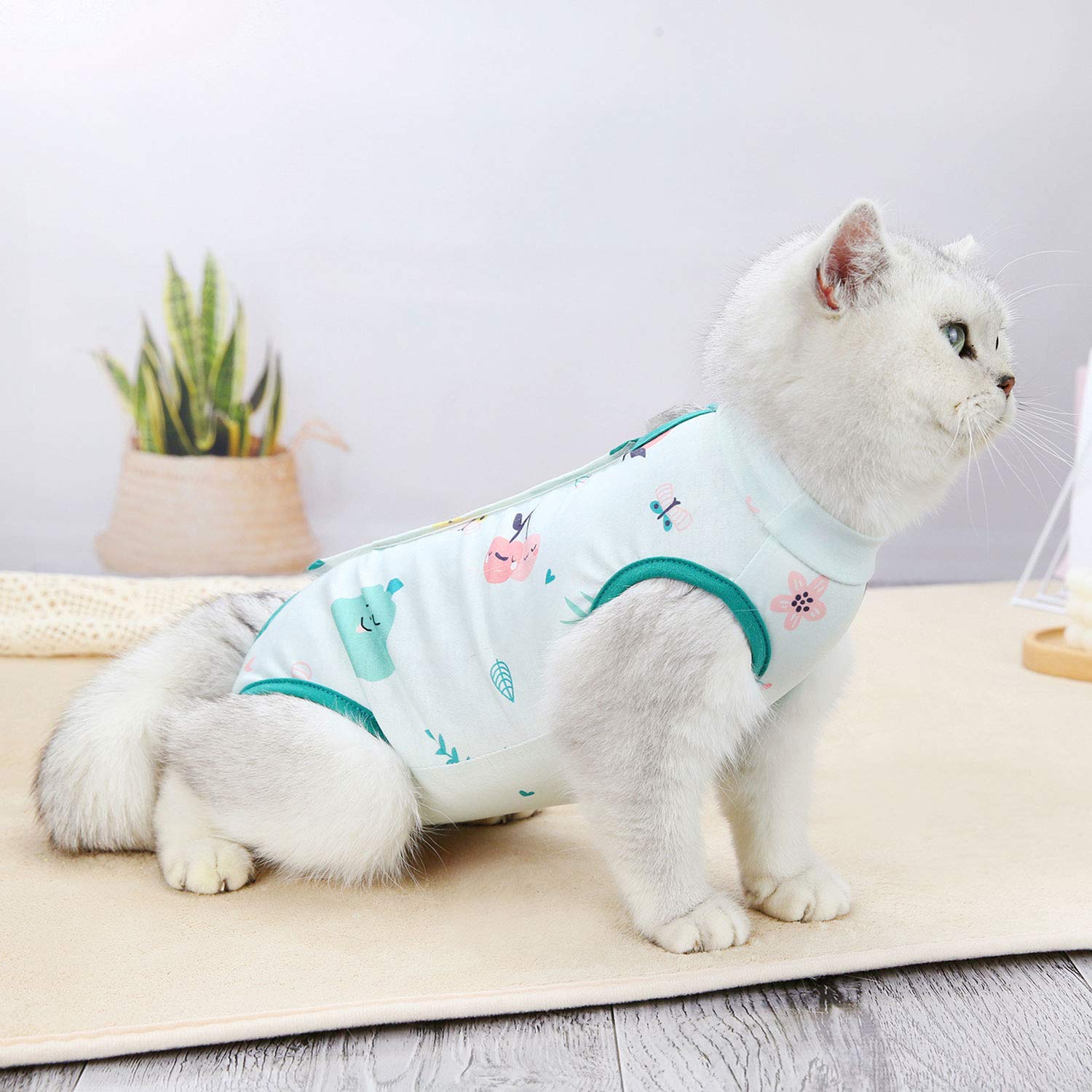 Post-Surgery Cat Recovery Suit for Abdominal Wounds & Skin Conditions | Soft E-Collar Alternative to Prevent Licking | Breathable Pet Surgical Suit for Cats & Small Dogs (Watermelon Green, Size M 3.3-5.5LB) | Ideal for Spay/Neuter Recovery & Wound Healing