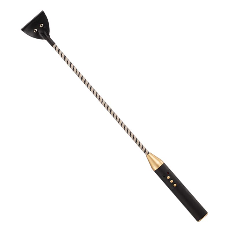 BDSM Electric Shock Whip - Leather Bondage Training Whip with Adjustable Intensity for Adults - Perfect for BDSM Play, Spanking, and Sensation Play in the Bedroom