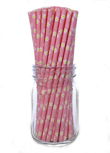 BarConic® Biodegradable Paper Straws - Daisy Print - 100 Pack Eco-Friendly Drinking Straws for Parties, Weddings & Home Use