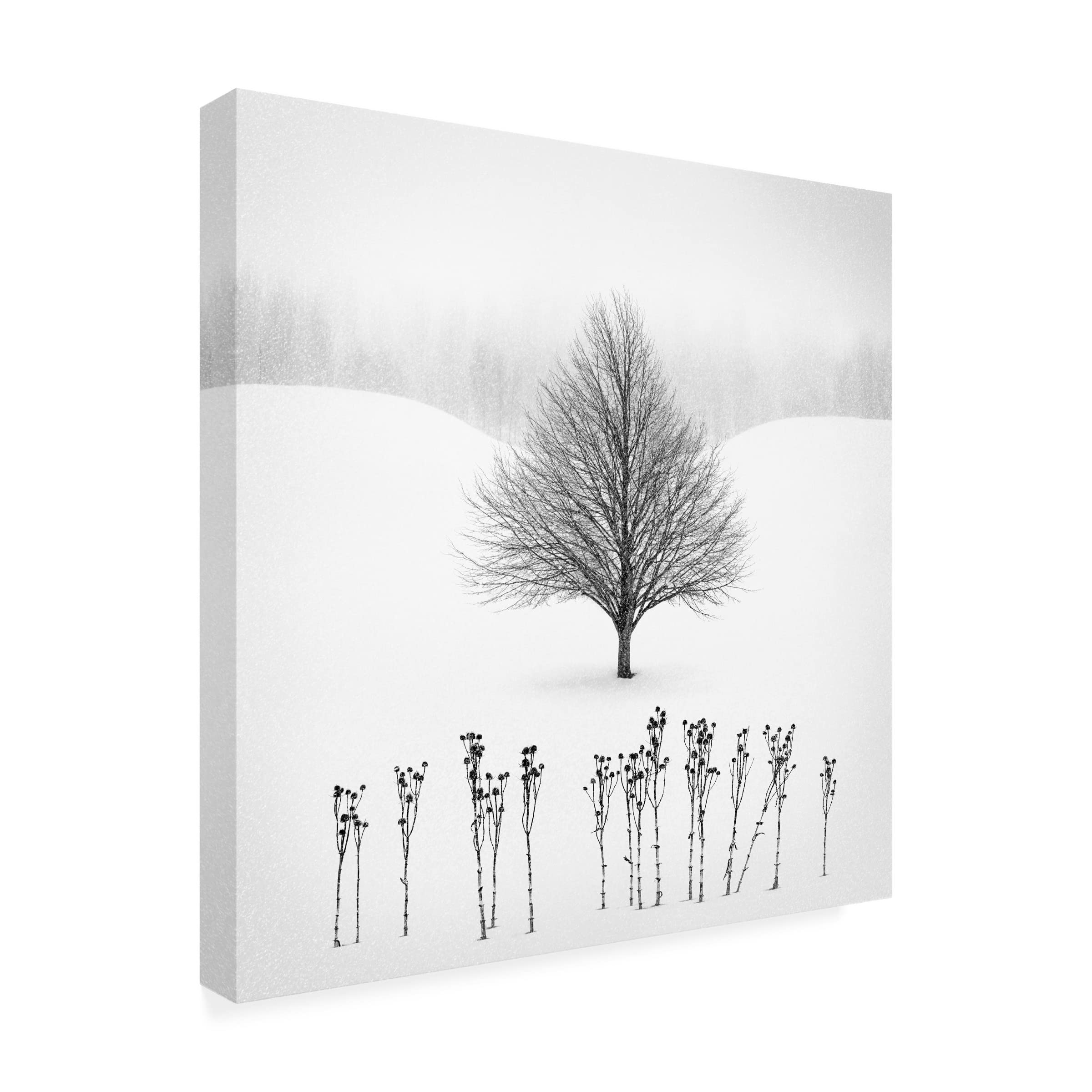 Matt Anderson 'White' Canvas Art Print - Modern Abstract Wall Decor for Living Room, Bedroom & Office - Trademark Fine Art Collection
