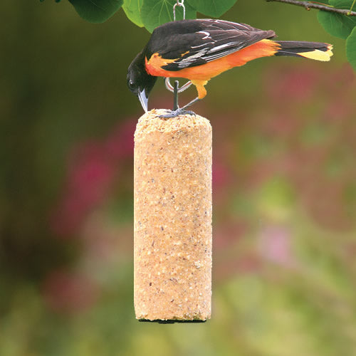 Premium Peanut Delight Suet Log - High Energy Bird Food for Wild Birds - Perfect for Backyard Bird Feeders & Winter Bird Watching