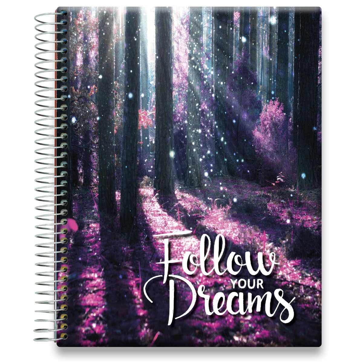 Tools4Wisdom 2025-2026 Academic Planner - 15 Month Weekly & Monthly Calendar (April 2025-June 2026) - 8.5x11