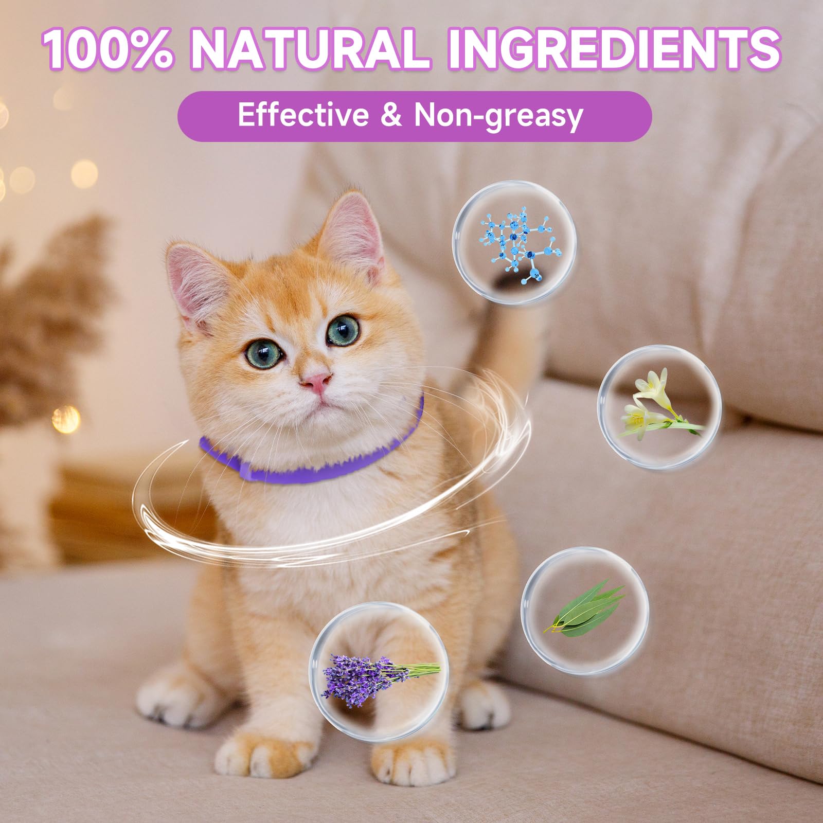 4 Pack Adjustable Cat Calming Collar for Anxiety Relief - Long-Lasting 60 Days, Water-Resistant & Breakaway Safety Design with Soothing Pheromones (Purple) - Perfect for Travel, Vet Visits & Multi-Cat Homes
