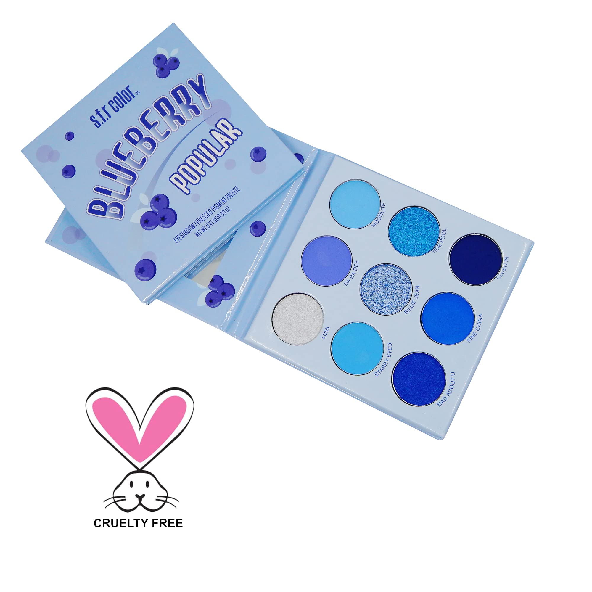 Blueberry Pressed Pigment Eyeshadow Palette - Matte & Shimmer Blue Eyeshadow Set | Travel-Friendly Makeup Palette for Everyday & Party Looks | S.F.R. COLOR Professional Eyeshadow Kit