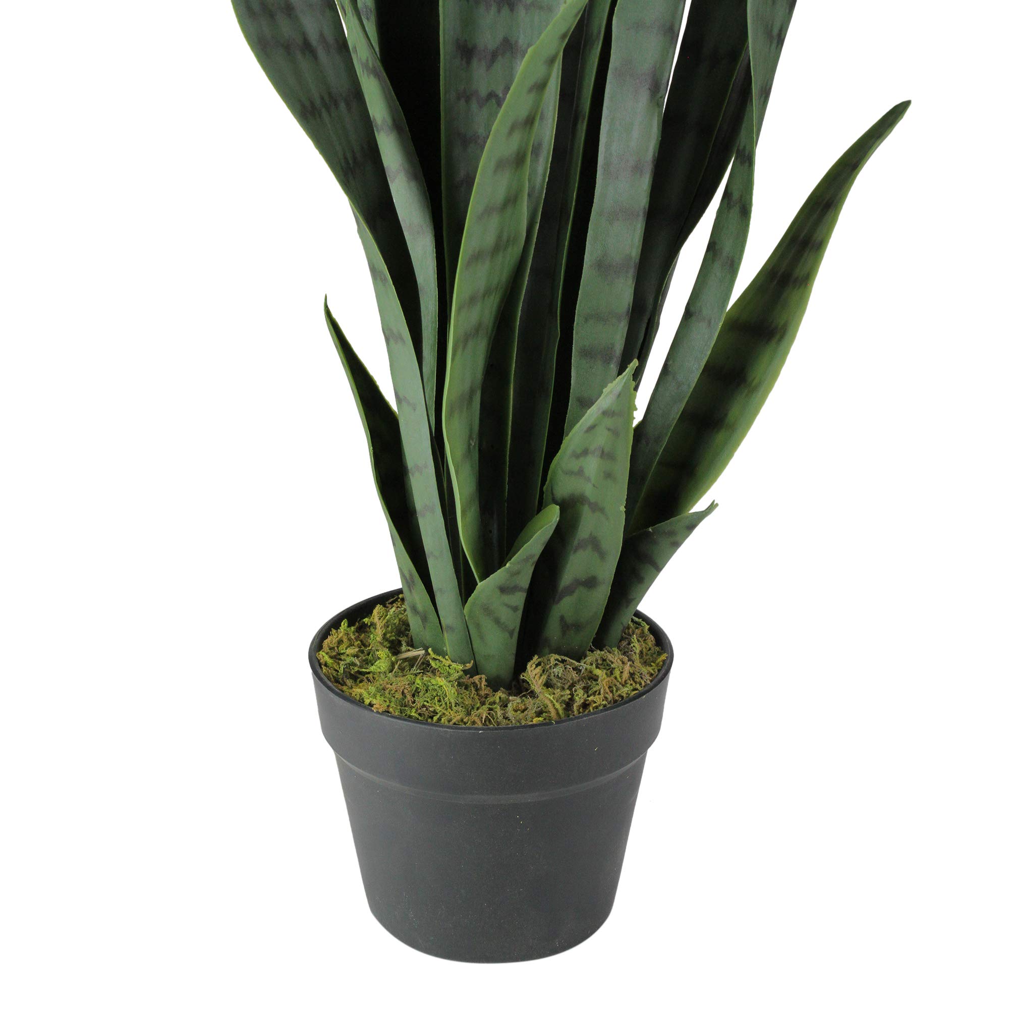 Real Touch™ Artificial Two Tone Potted Snake Plant - 29