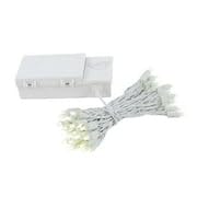 50 LED Battery Operated Christmas Lights - Green Wire Mini String Lights (17ft) for Holiday Decor, Parties, Weddings & Indoor/Outdoor Decorations