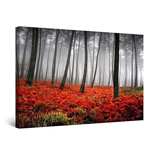 Red Forest Fog